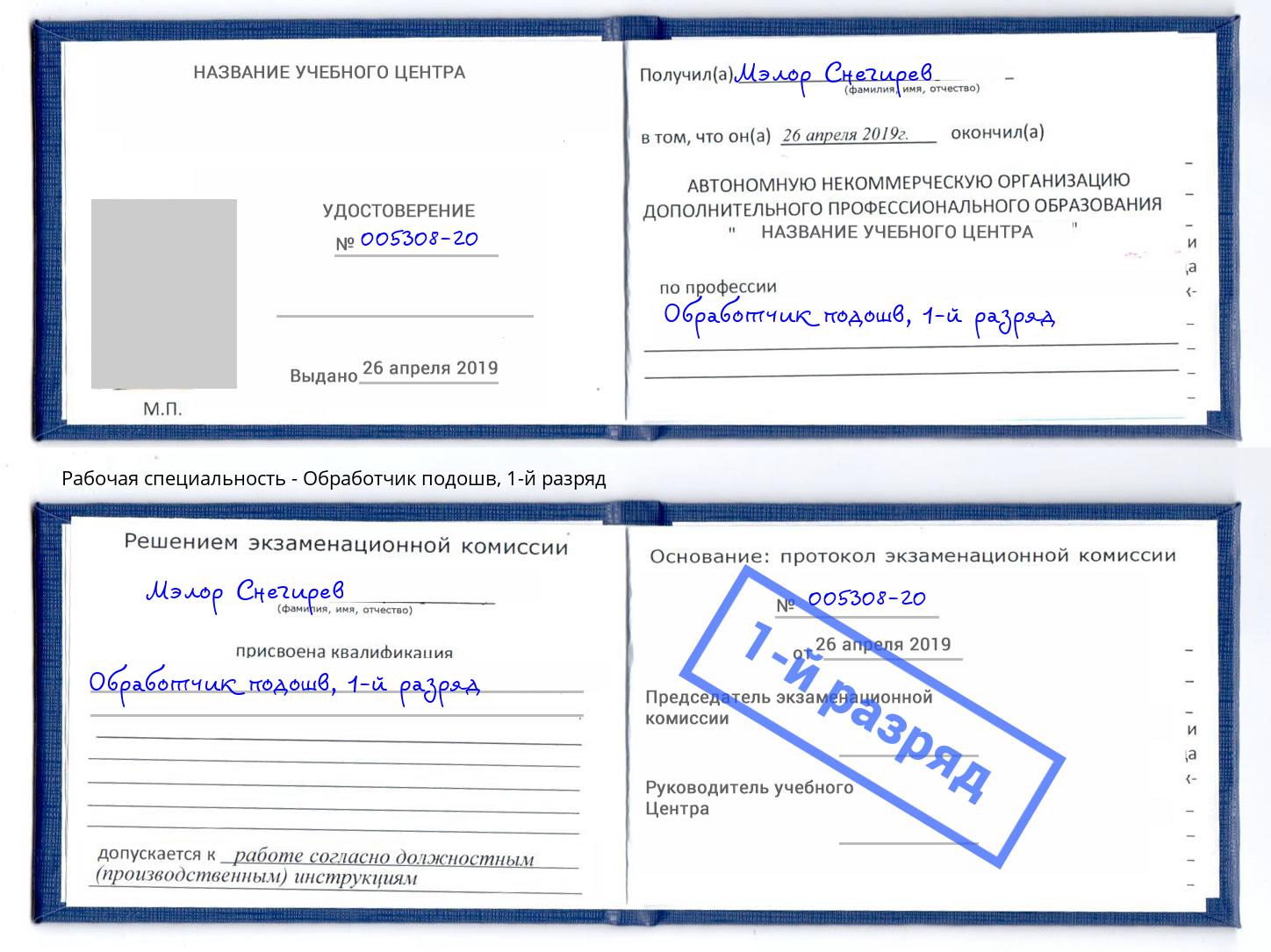 корочка 1-й разряд Обработчик подошв Бугуруслан